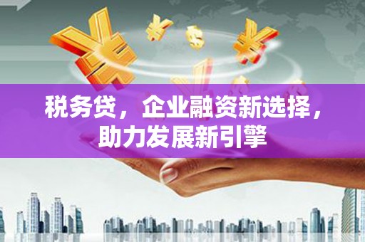 邯郸税务贷，企业融资新选择，助力发展新引擎