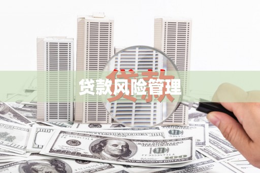 邯郸贷款风险管理
