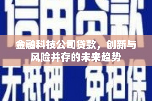邯郸金融科技公司贷款，创新与风险并存的未来趋势