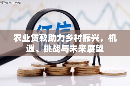 邯郸农业贷款助力乡村振兴，机遇、挑战与未来展望