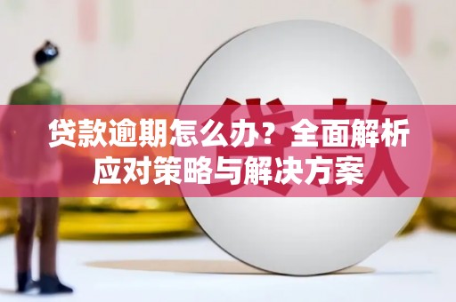 邯郸贷款逾期怎么办？全面解析应对策略与解决方案