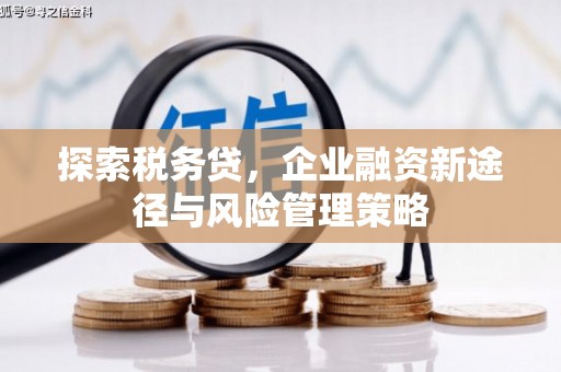 邯郸探索税务贷，企业融资新途径与风险管理策略