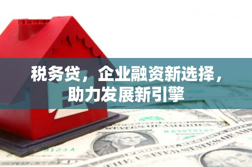 邯郸税务贷，企业融资新选择，助力发展新引擎