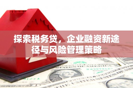 邯郸探索税务贷，企业融资新途径与风险管理策略