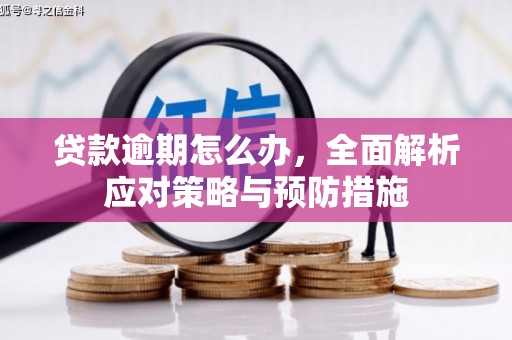 邯郸贷款逾期怎么办，全面解析应对策略与预防措施