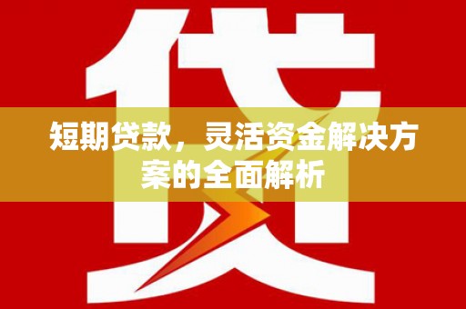 邯郸短期贷款，灵活资金解决方案的全面解析