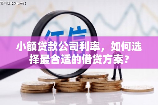 邯郸小额贷款公司利率，如何选择最合适的借贷方案？