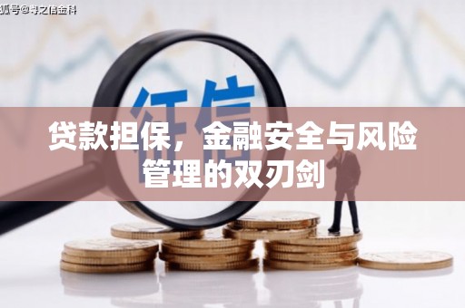 邯郸贷款担保，金融安全与风险管理的双刃剑