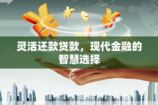 邯郸灵活还款贷款，现代金融的智慧选择