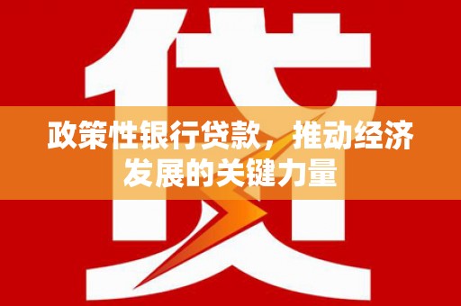 邯郸政策性银行贷款，推动经济发展的关键力量