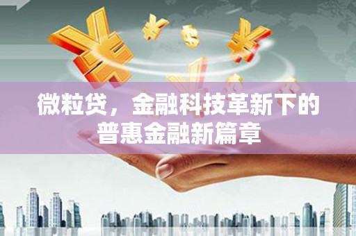 邯郸微粒贷，金融科技革新下的普惠金融新篇章