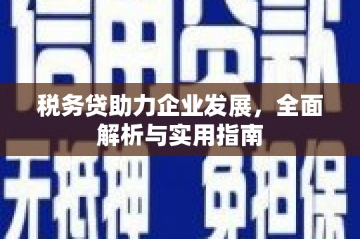 邯郸税务贷助力企业发展，全面解析与实用指南