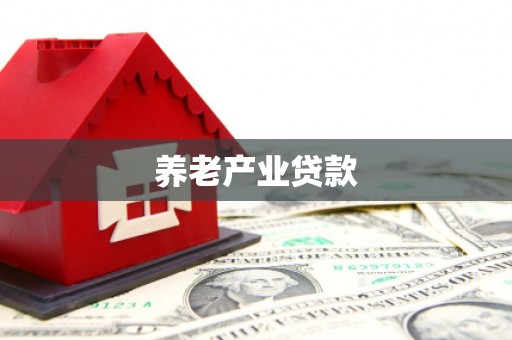 邯郸养老产业贷款
