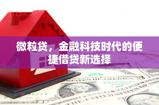 邯郸微粒贷，金融科技时代的便捷借贷新选择