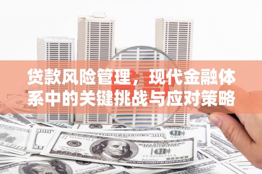 邯郸贷款风险管理，现代金融体系中的关键挑战与应对策略