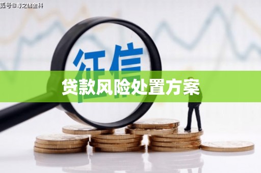 邯郸贷款风险处置方案