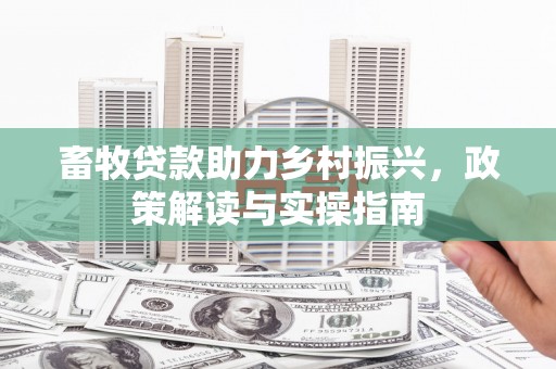 邯郸畜牧贷款助力乡村振兴，政策解读与实操指南
