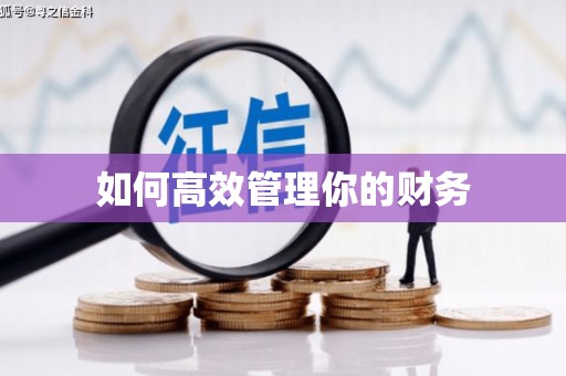 邯郸如何高效管理你的财务