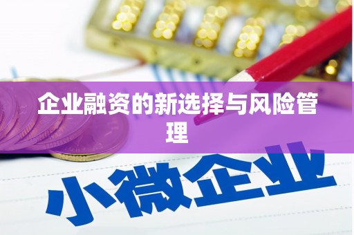 邯郸企业融资的新选择与风险管理