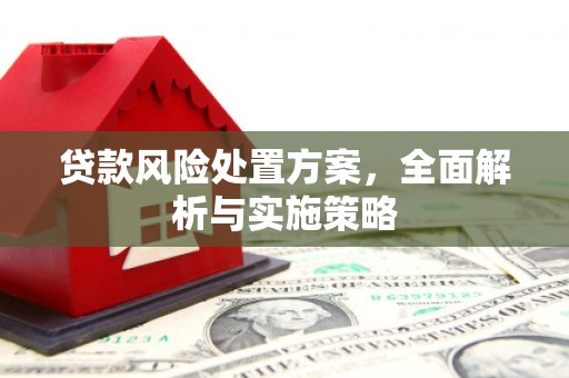 邯郸贷款风险处置方案，全面解析与实施策略