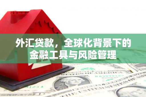 邯郸外汇贷款，全球化背景下的金融工具与风险管理